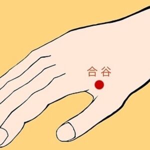 イラスト