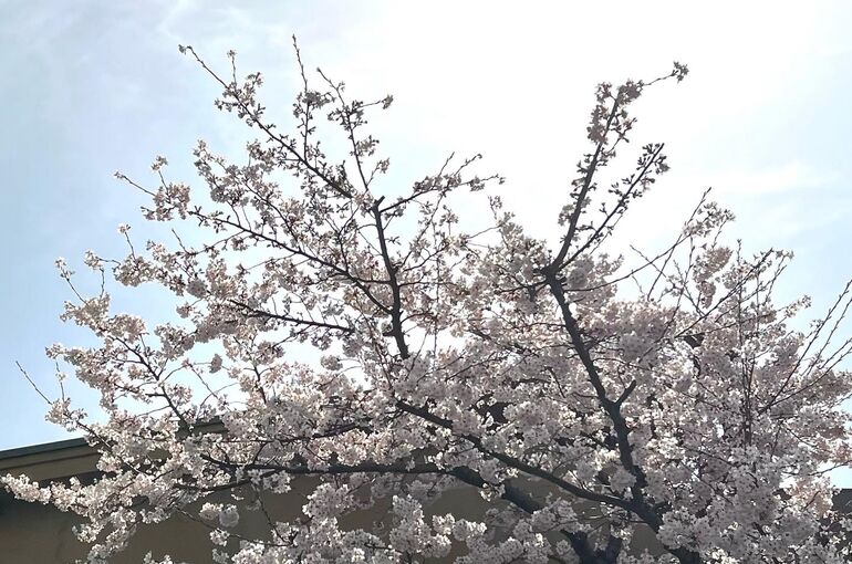 風景画像