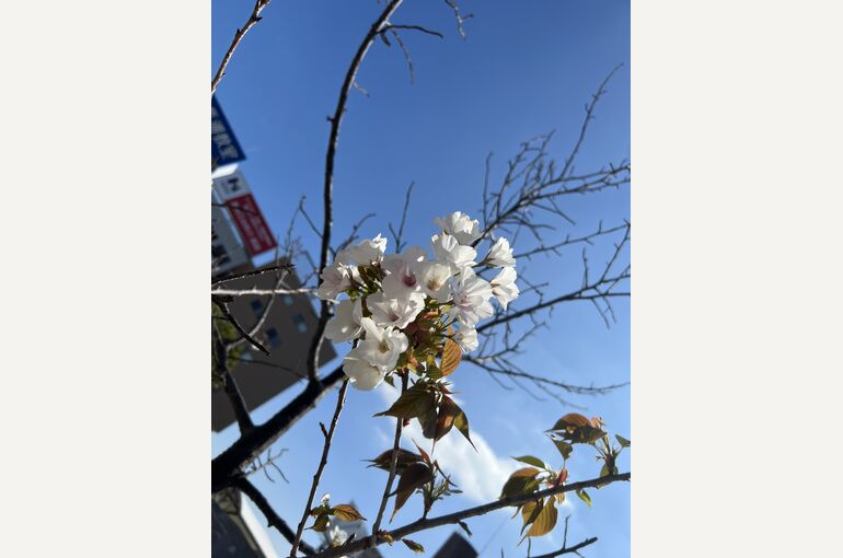 風景画像