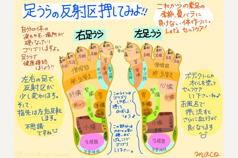 イラスト画像